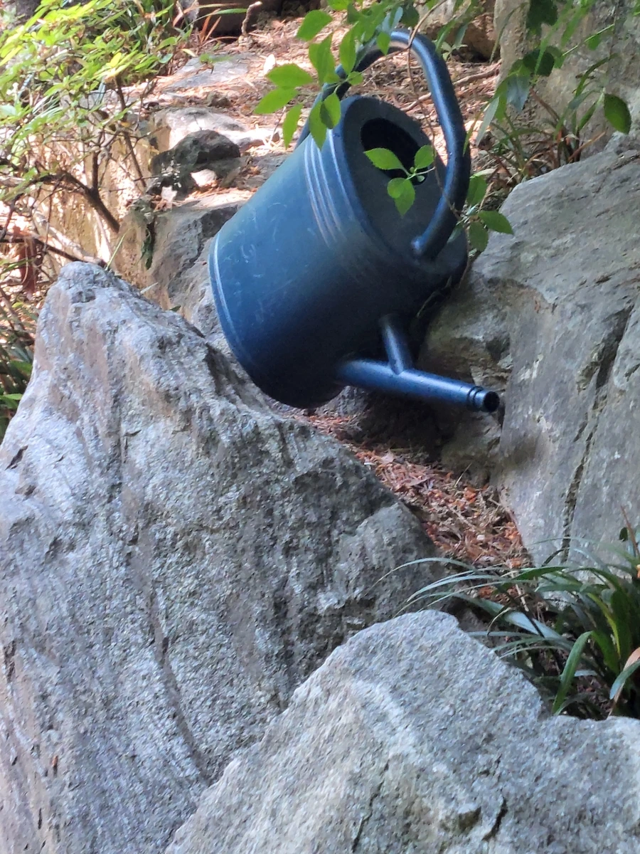 900%EF%BC%BF20250615%EF%BC%BF100525.jpg?type=w966