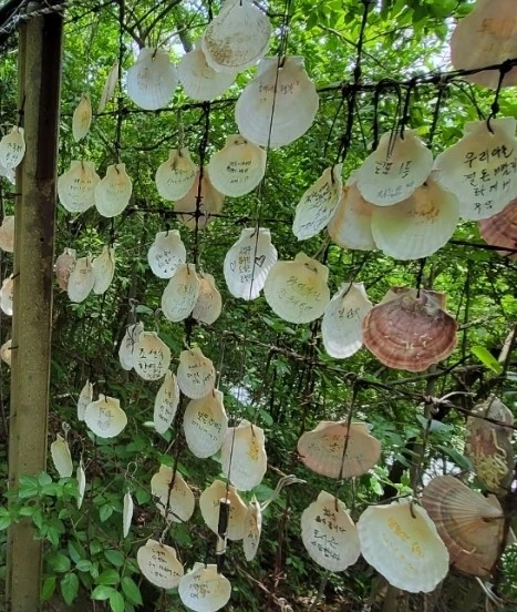 1750193528239.jpg?type=w966