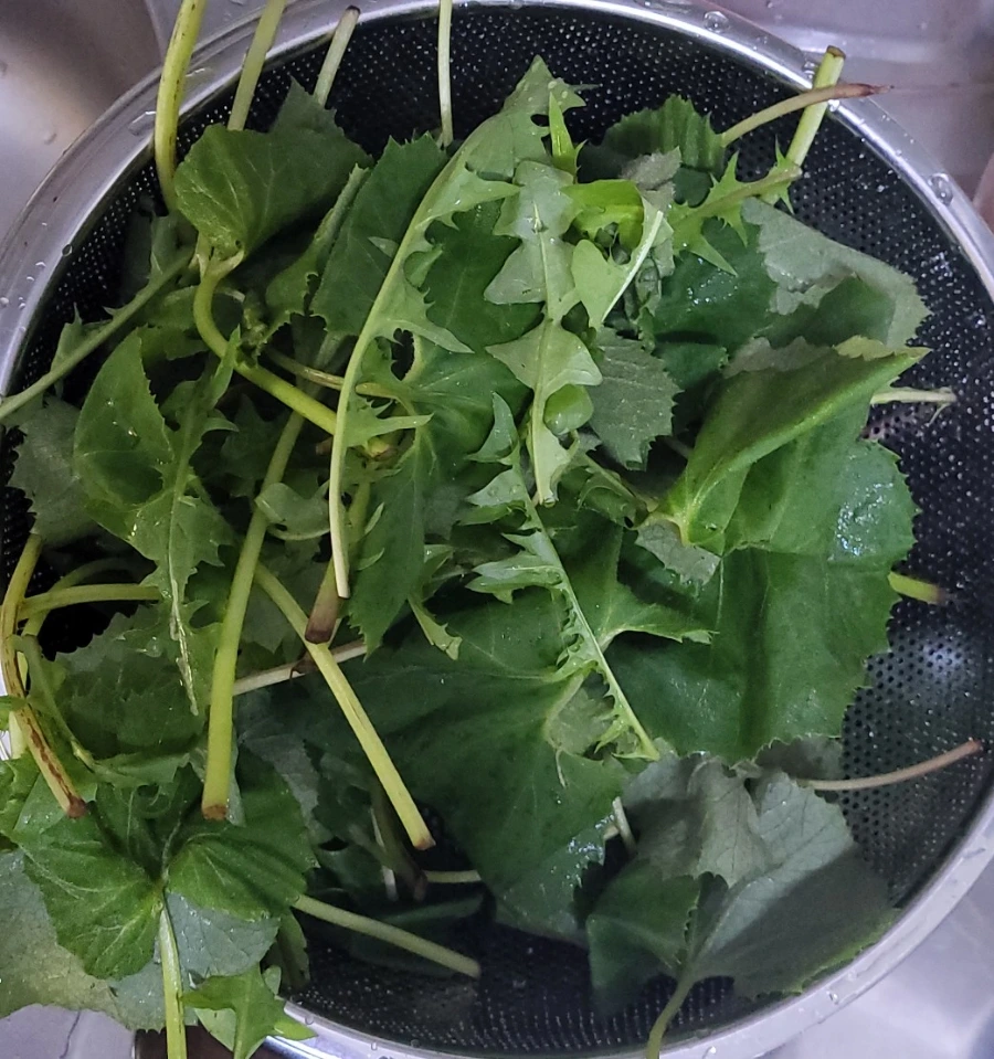 900%EF%BC%BF1748914564330.jpg?type=w966