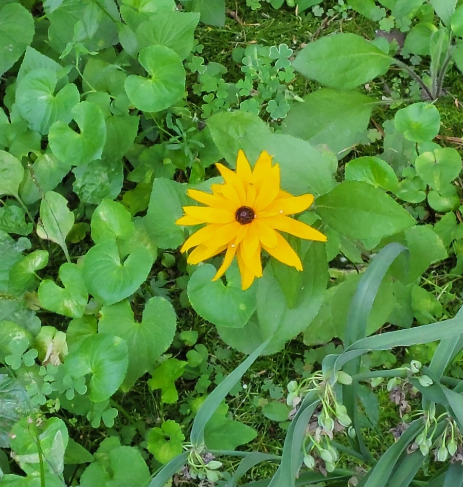 900%EF%BC%BF1752457028327.jpg?type=w966