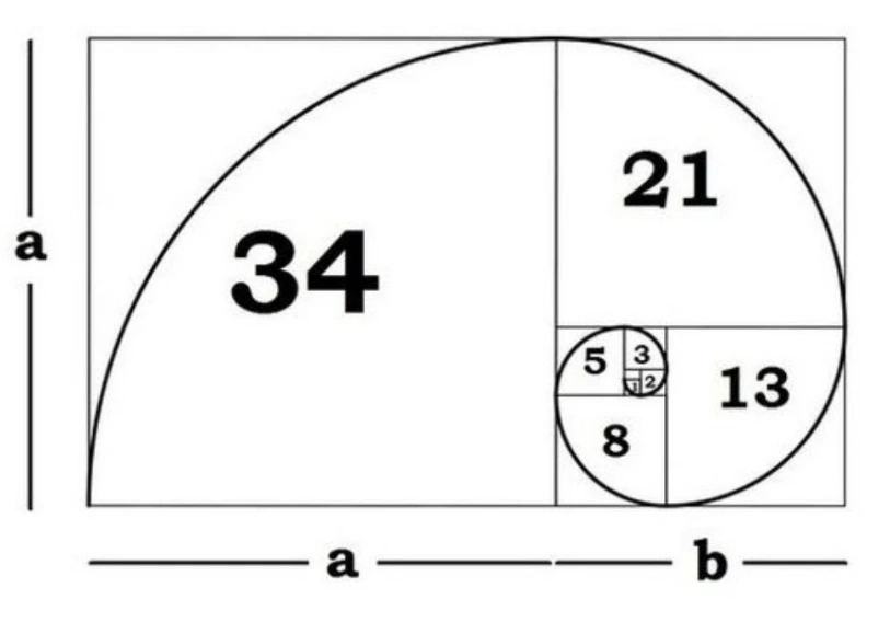 SE-20b7049c-5474-11f0-921e-fb08ecaaf88d.jpg?type=w966