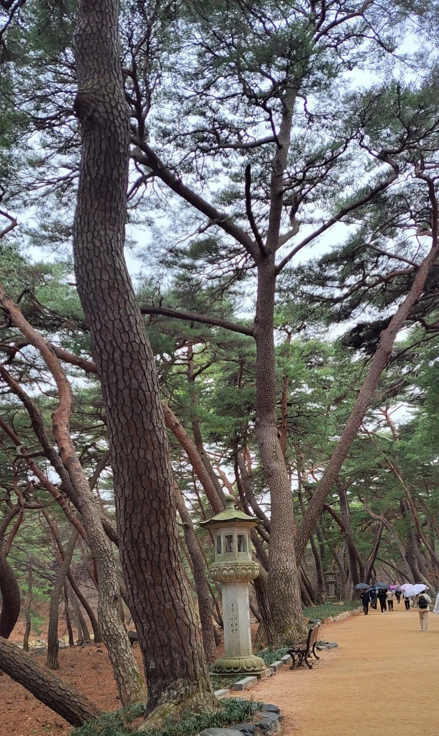 1742080961800.jpg?type=w966