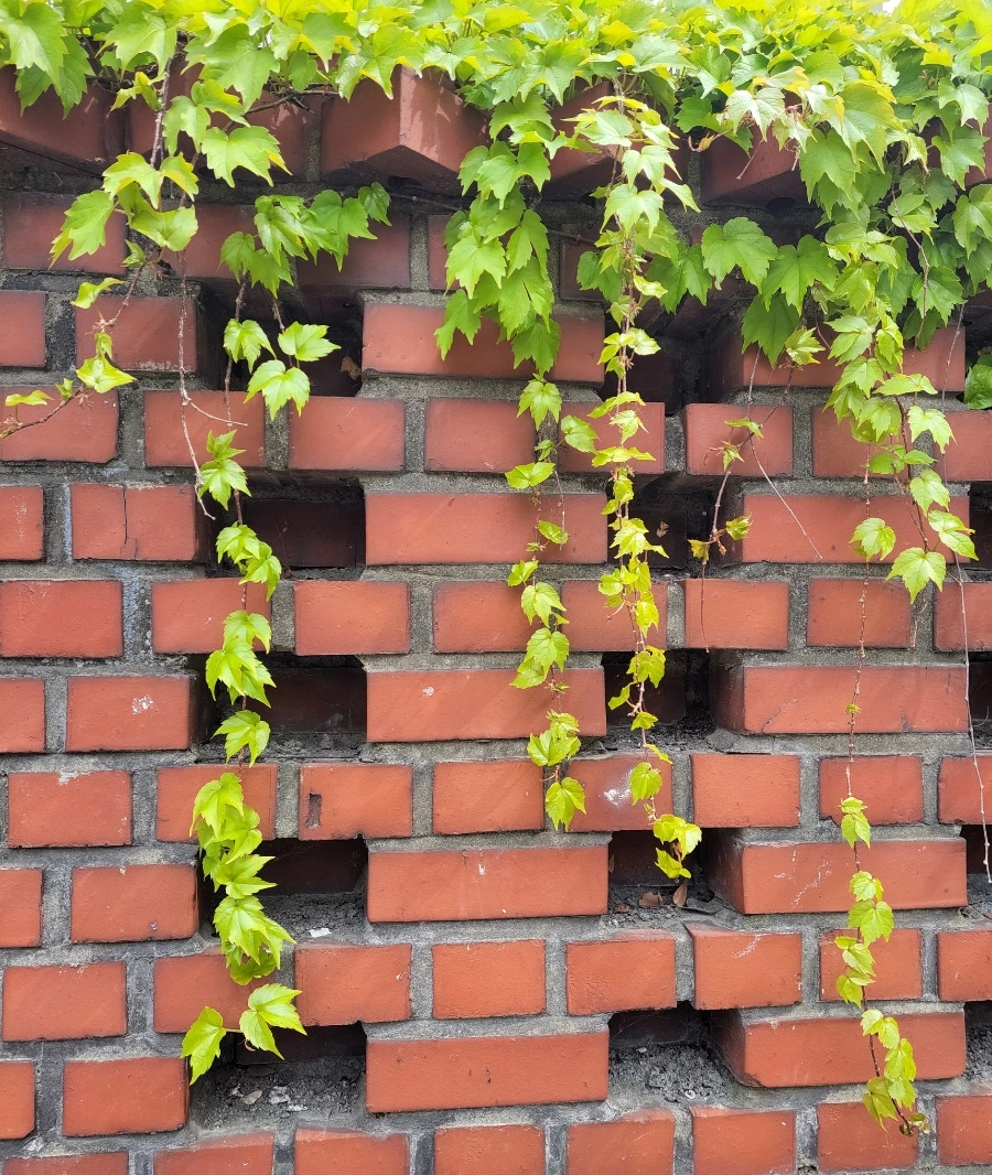 900%EF%BC%BF1745890299190.jpg?type=w966