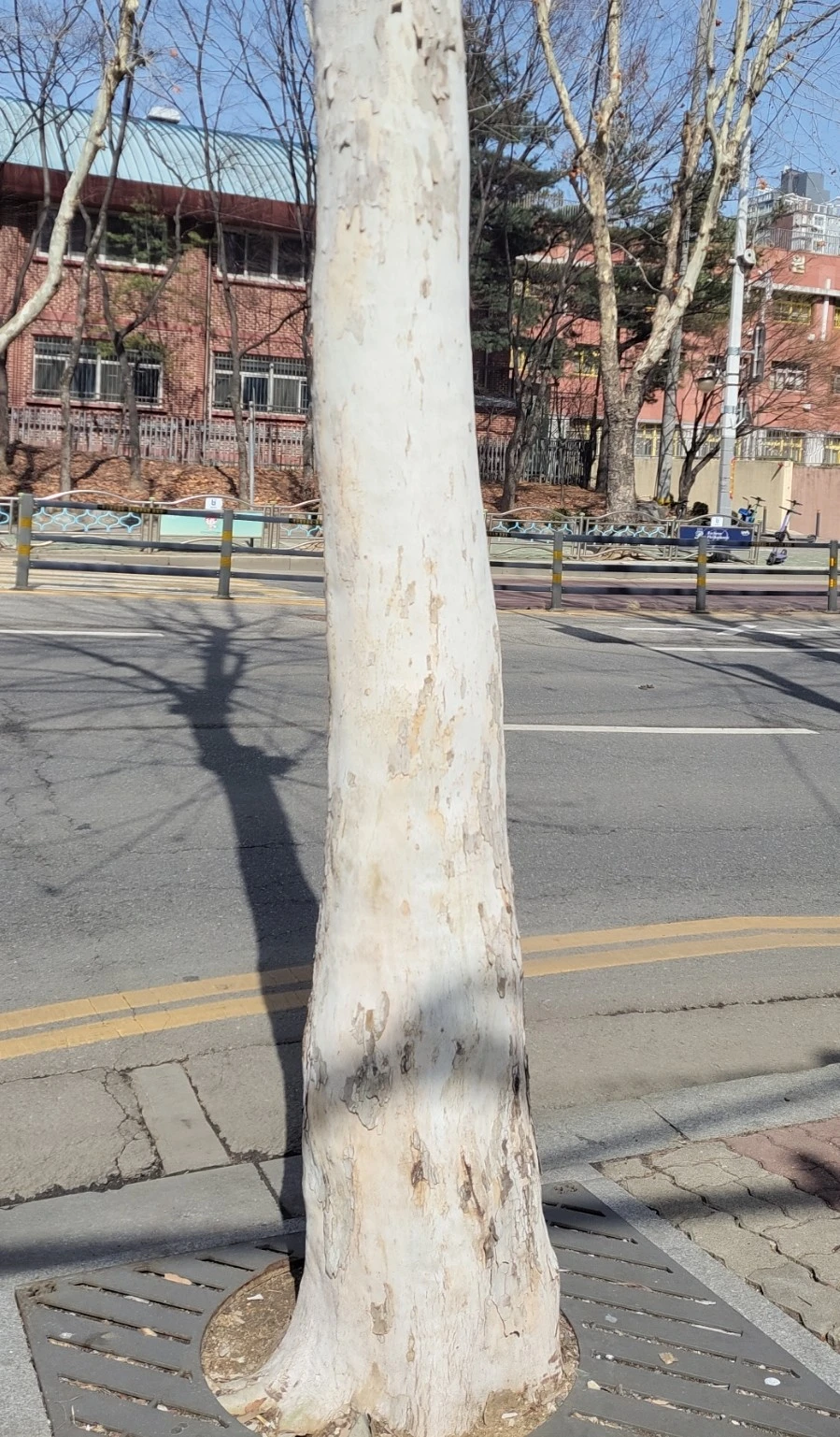 1741903590196.jpg?type=w966