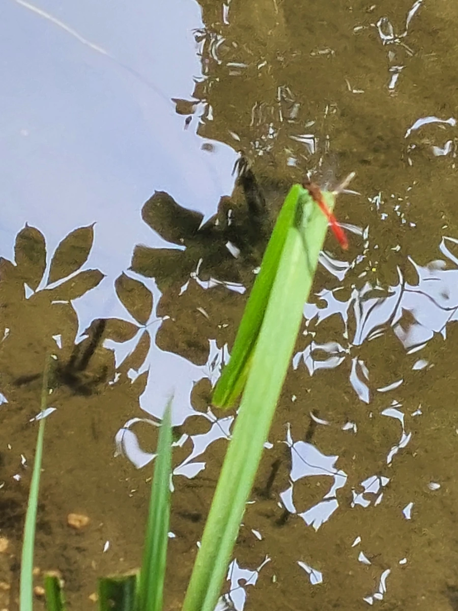 900%EF%BC%BF20250730%EF%BC%BF103900.jpg?type=w966