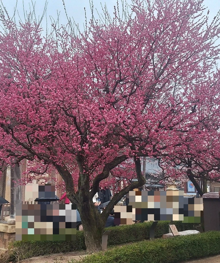 1742080038749.jpg?type=w966