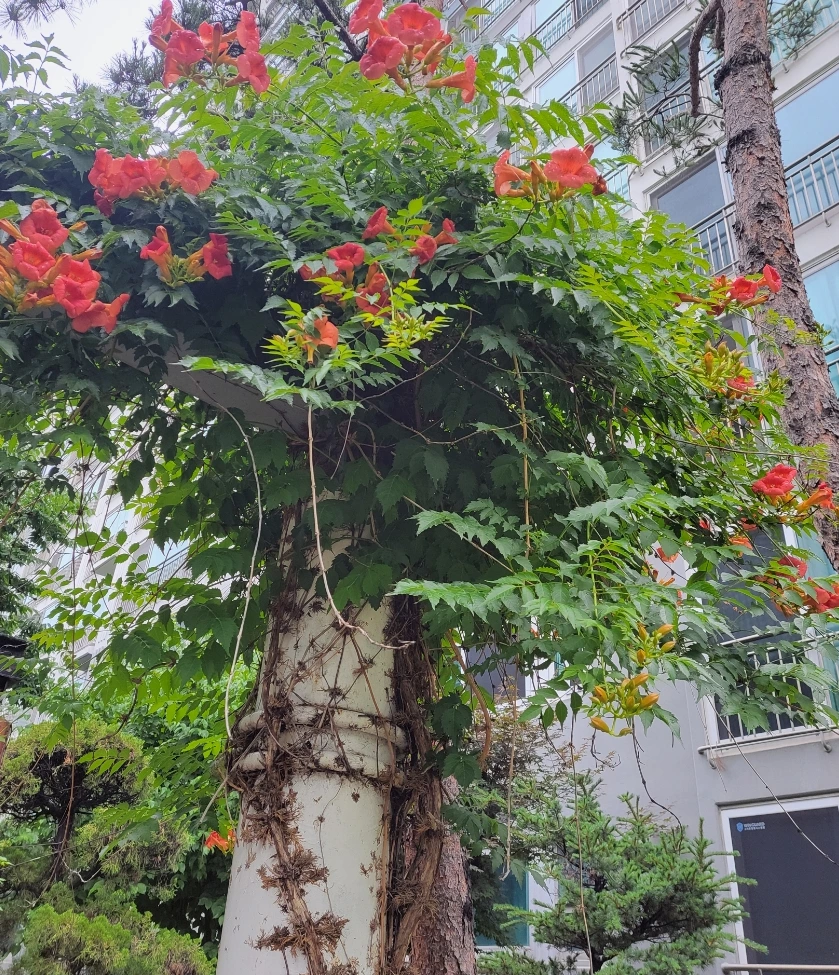 SE-3dac33a5-2ee1-4510-88e1-494b754ef796.jpg?type=w966