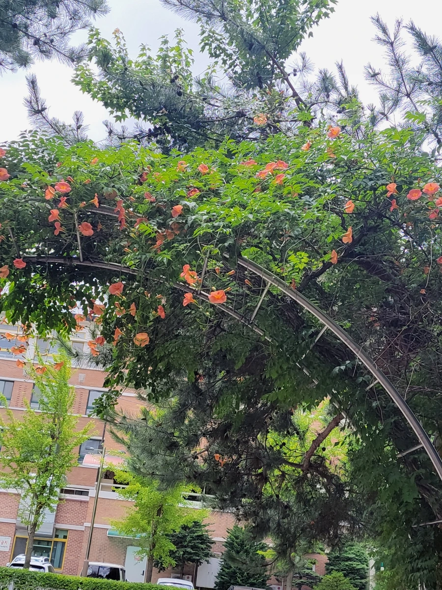 900%EF%BC%BF20250701%EF%BC%BF122747.jpg?type=w966