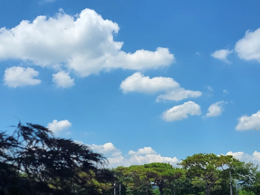 900%EF%BC%BF20250727%EF%BC%BF131722.jpg?type=w966