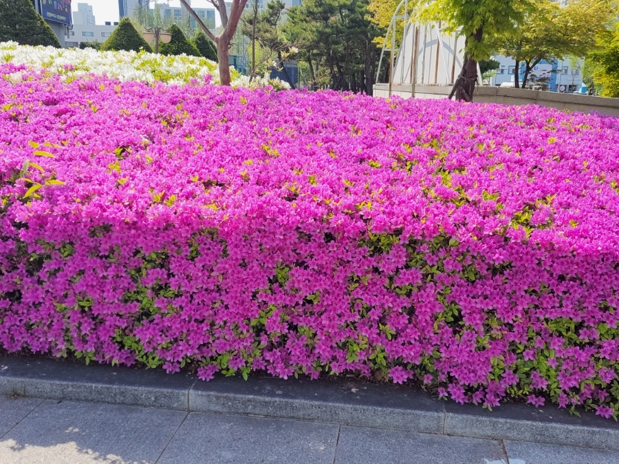 900%EF%BC%BF20250426%EF%BC%BF145733.jpg?type=w966