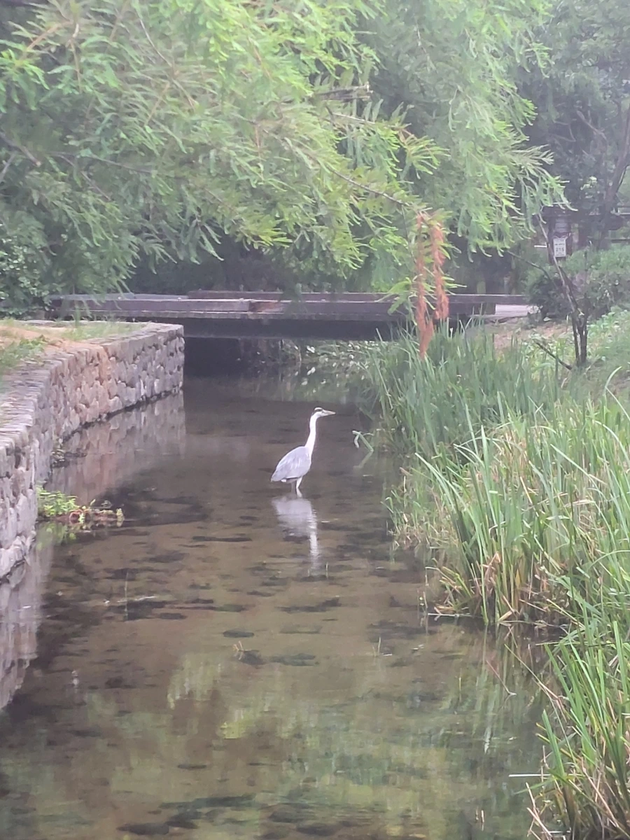 900%EF%BC%BF20250714%EF%BC%BF062007.jpg?type=w966