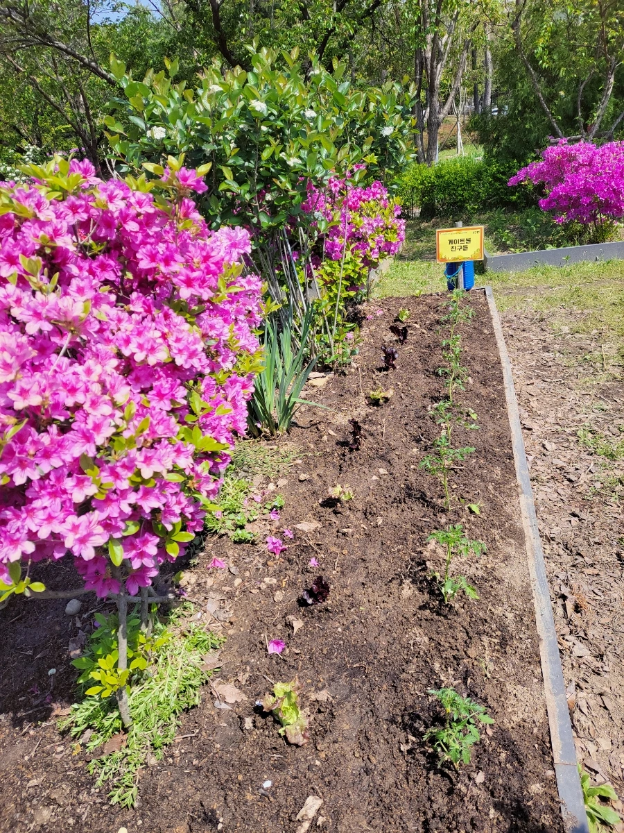 900%EF%BC%BF20250426%EF%BC%BF142432.jpg?type=w966