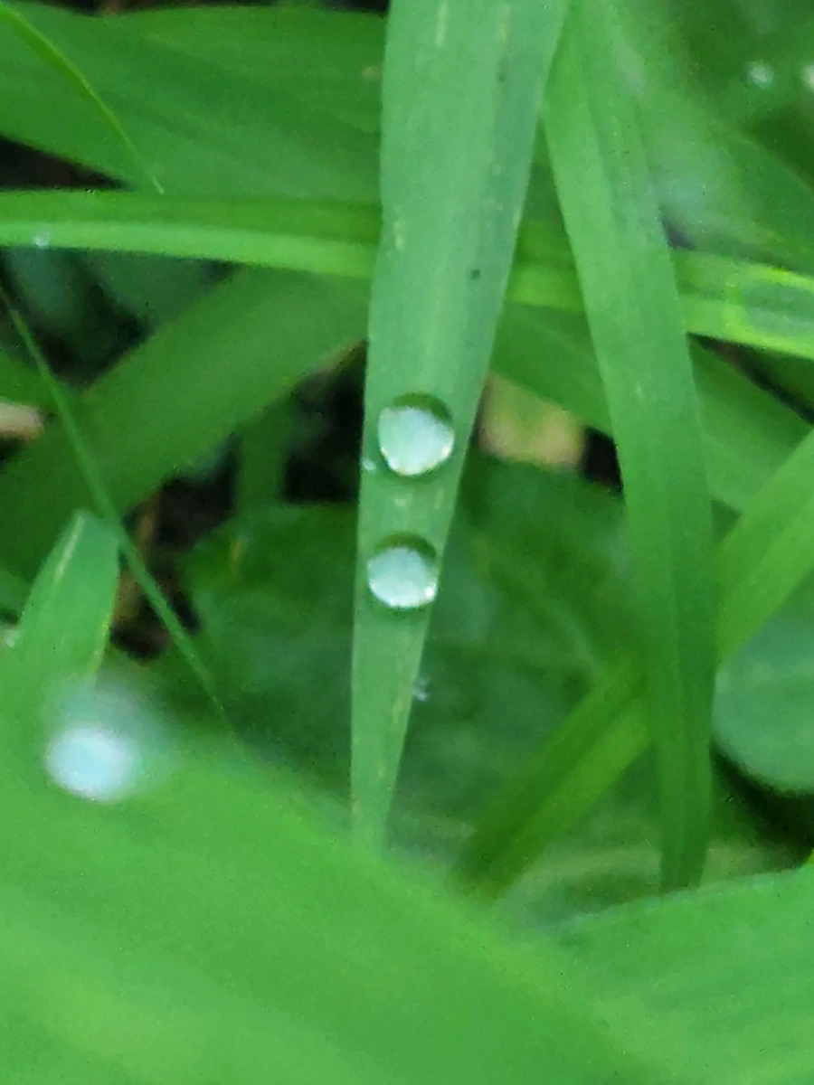 900%EF%BC%BF20250726%EF%BC%BF060423.jpg?type=w966