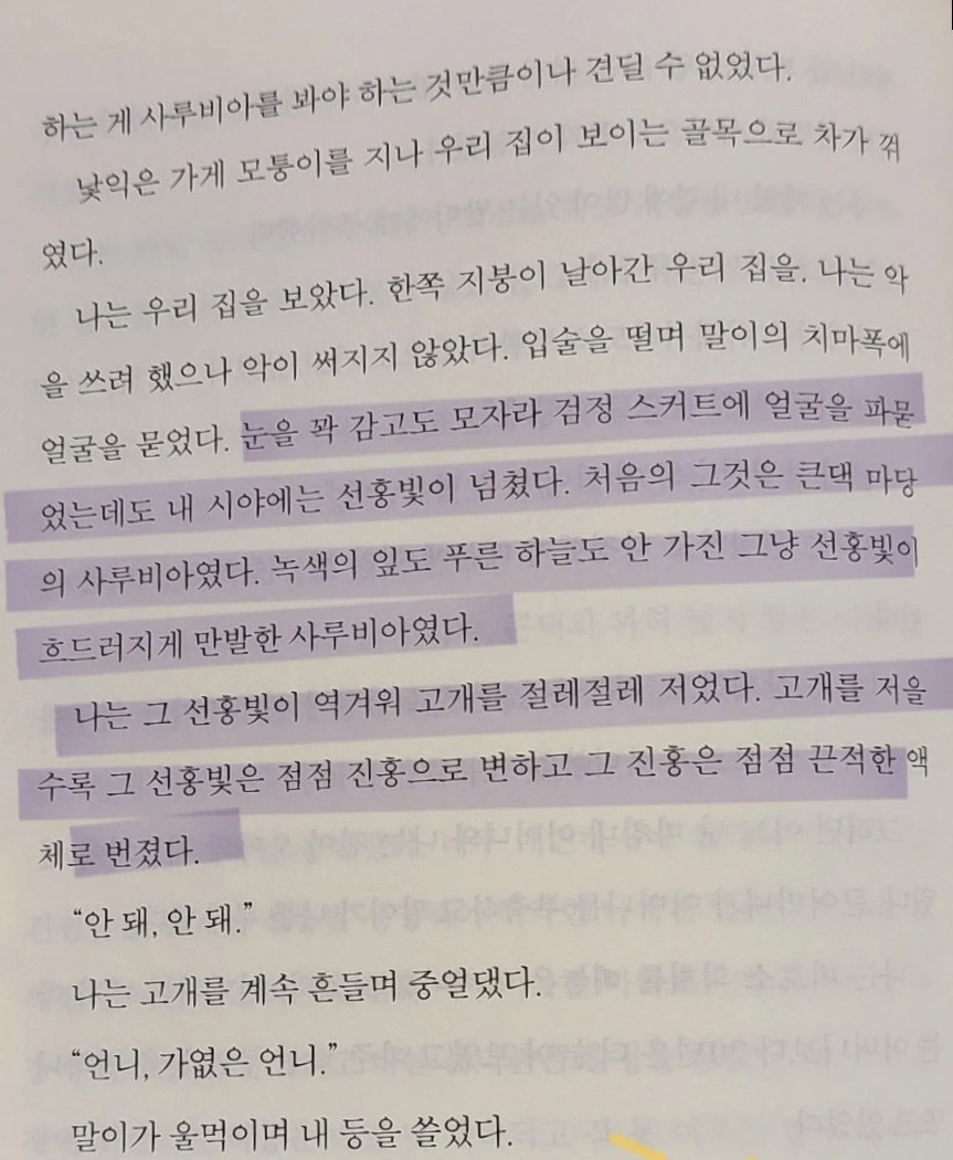 1740962133829.jpg?type=w966