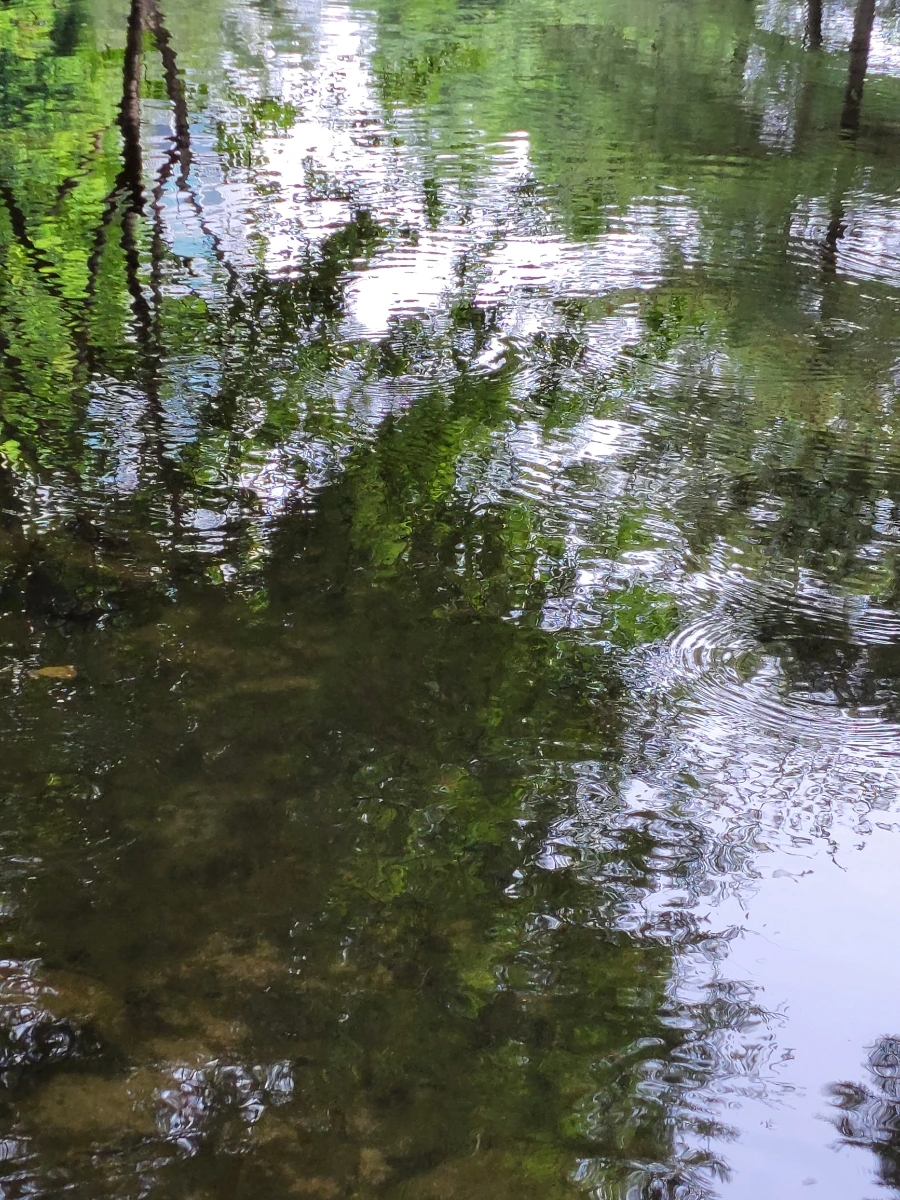 900%EF%BC%BF20250613%EF%BC%BF100410.jpg?type=w966