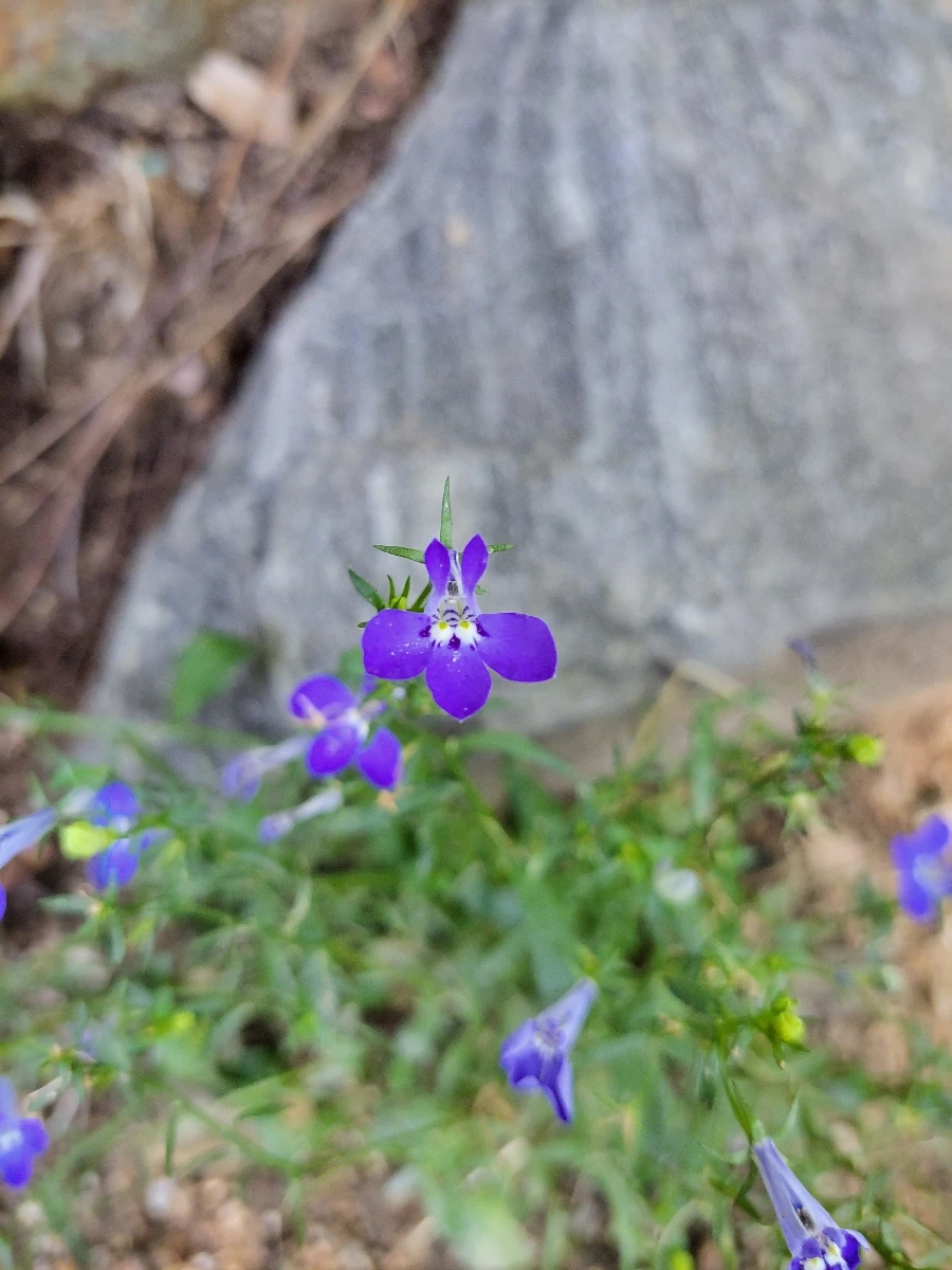 900%EF%BC%BF20250805%EF%BC%BF084337.jpg?type=w966