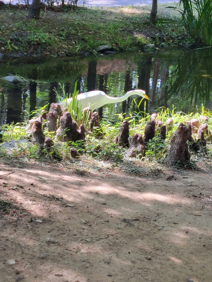 900%EF%BC%BF20250615%EF%BC%BF095301.jpg?type=w966