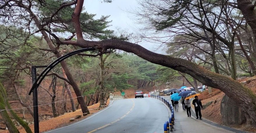 1742086012941.jpg?type=w966