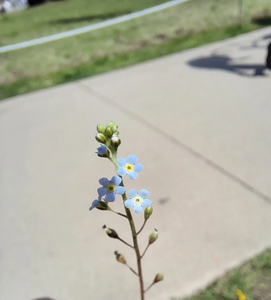 900%EF%BC%BF20250426%EF%BC%BF143954.jpg?type=w966