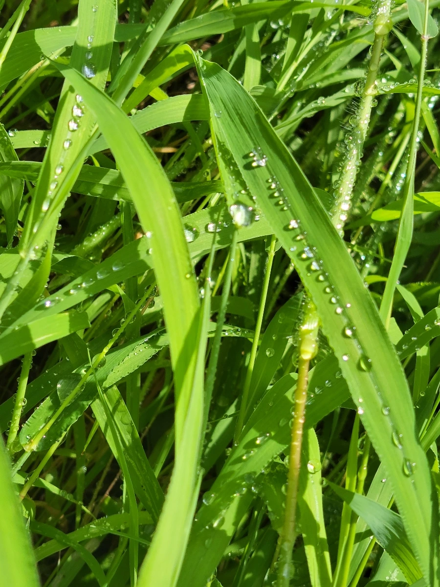 900%EF%BC%BF20250804%EF%BC%BF090556.jpg?type=w966