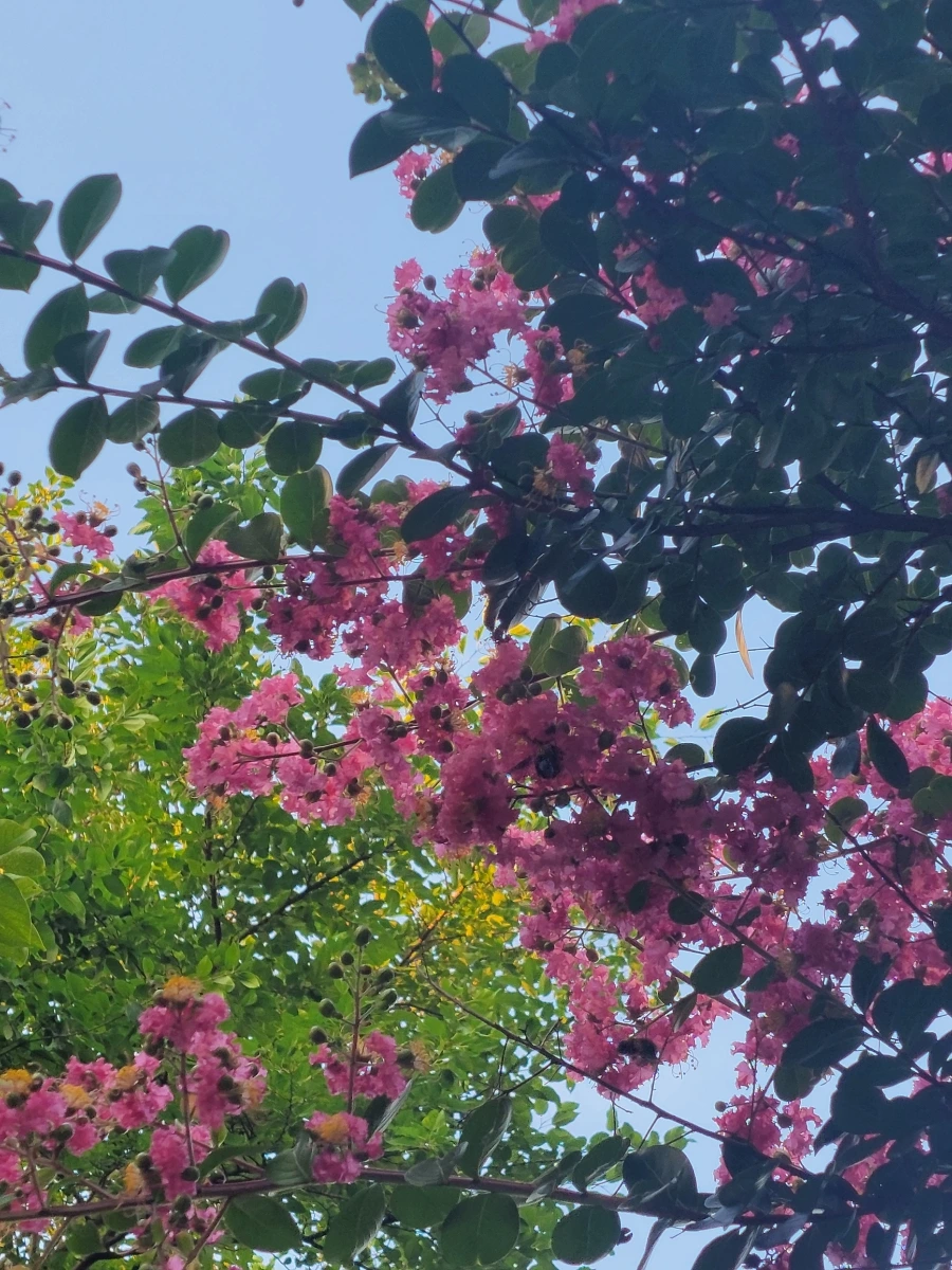 900%EF%BC%BF20250726%EF%BC%BF061615.jpg?type=w966