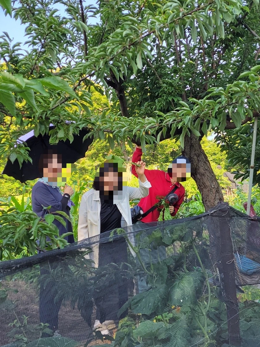 1753941051358.jpg?type=w966