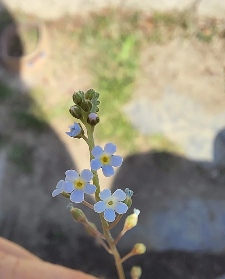 900%EF%BC%BF20250426%EF%BC%BF143943.jpg?type=w966