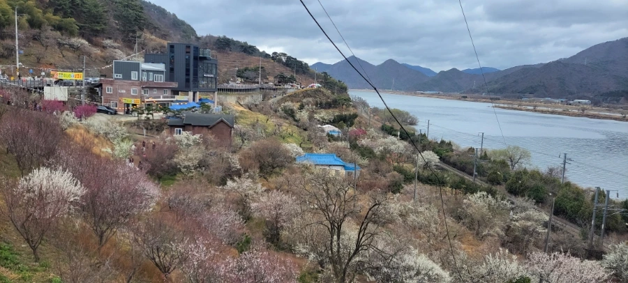 900%EF%BC%BF20250315%EF%BC%BF154523.jpg?type=w966