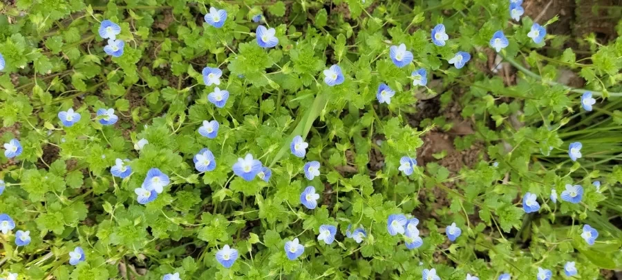 900%EF%BC%BF20250418%EF%BC%BF125203.jpg?type=w966