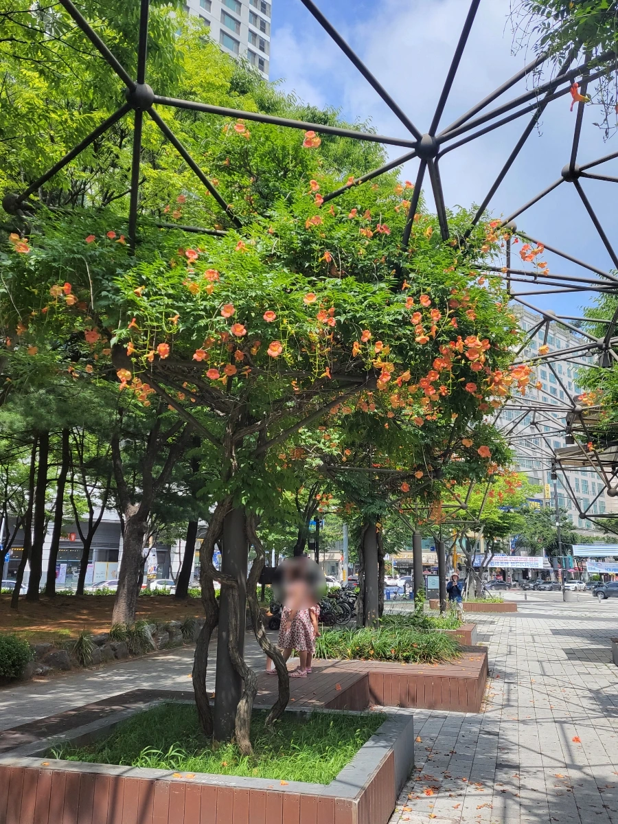 SE-be3be38e-5d09-11f0-94e5-61a06ef8266c.jpg?type=w966