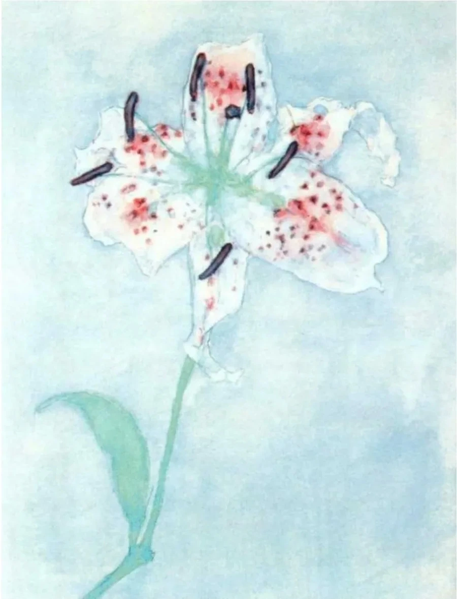 900%EF%BC%BF1752374816811.jpg?type=w966