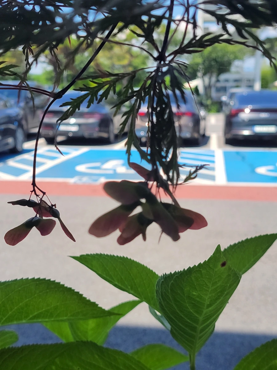 900%EF%BC%BF20250727%EF%BC%BF131736.jpg?type=w966