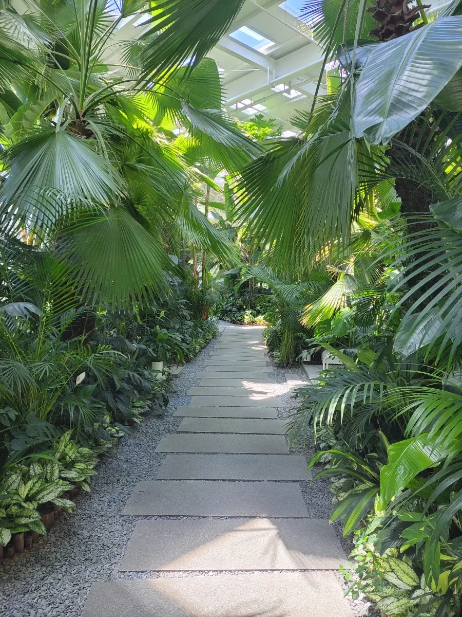 900%EF%BC%BF20250727%EF%BC%BF132106.jpg?type=w966