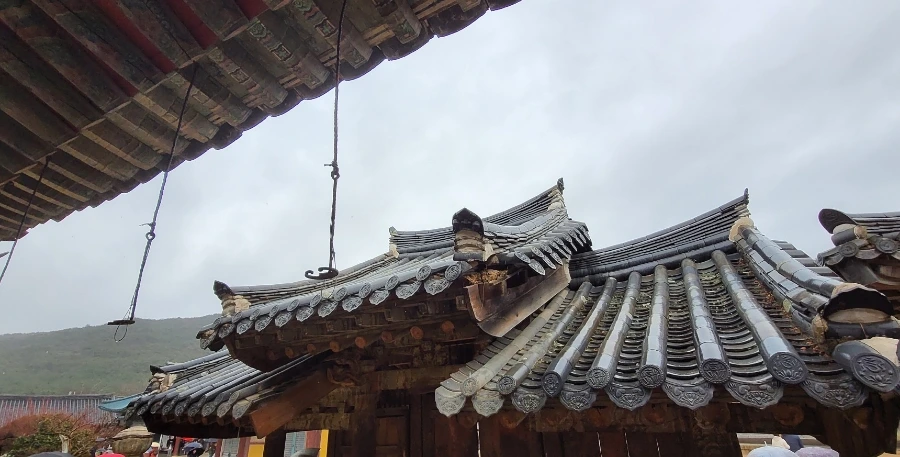 900%EF%BC%BF1742079545351.jpg?type=w966