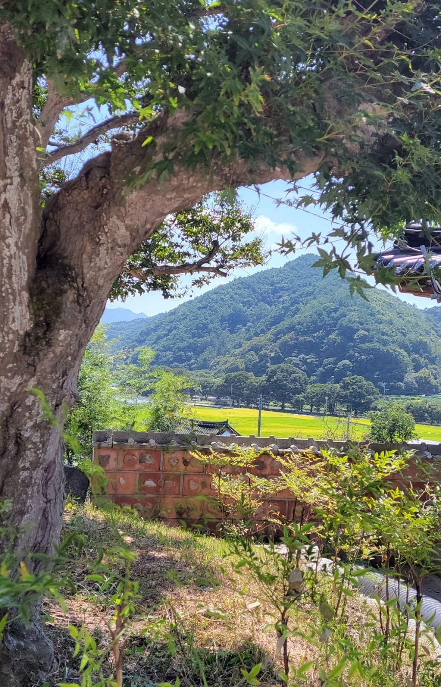 900%EF%BC%BF1744851368424.jpg?type=w966