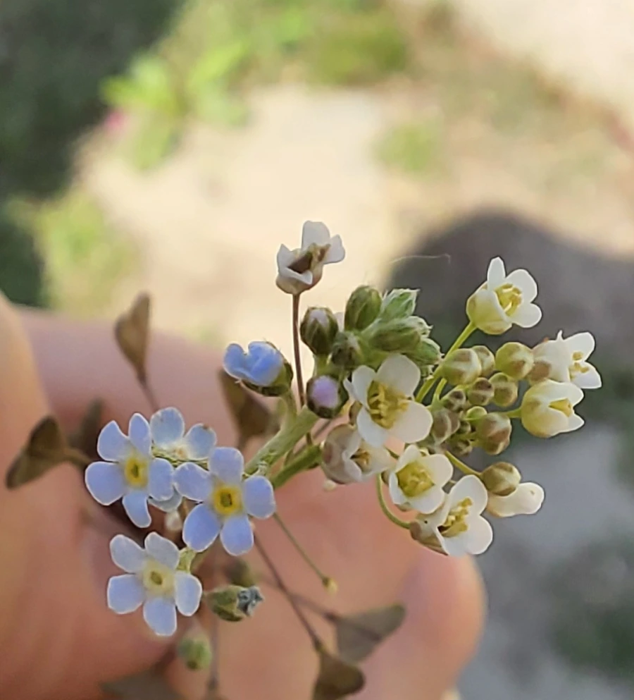 900%EF%BC%BF20250426%EF%BC%BF144433.jpg?type=w966