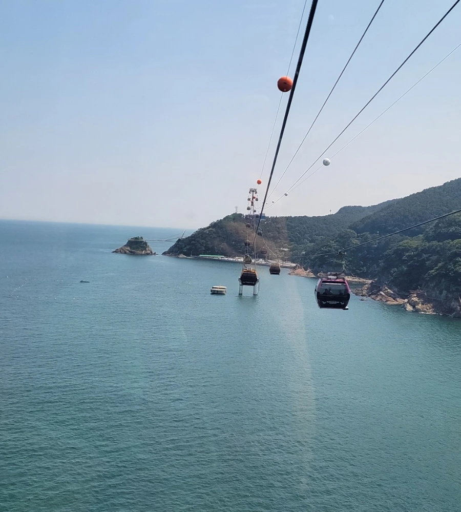 900%EF%BC%BF1751582144495.jpg?type=w966