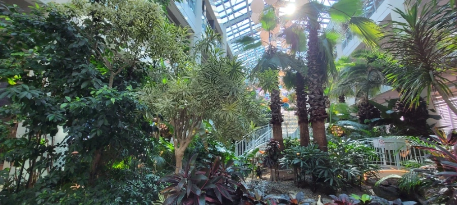 900%EF%BC%BF20250214%EF%BC%BF113248.jpg?type=w966