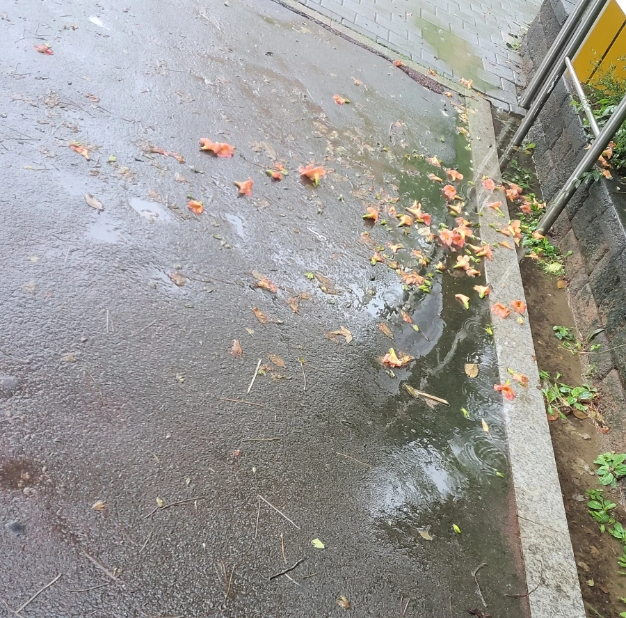 900%EF%BC%BF1755304159364.jpg?type=w966