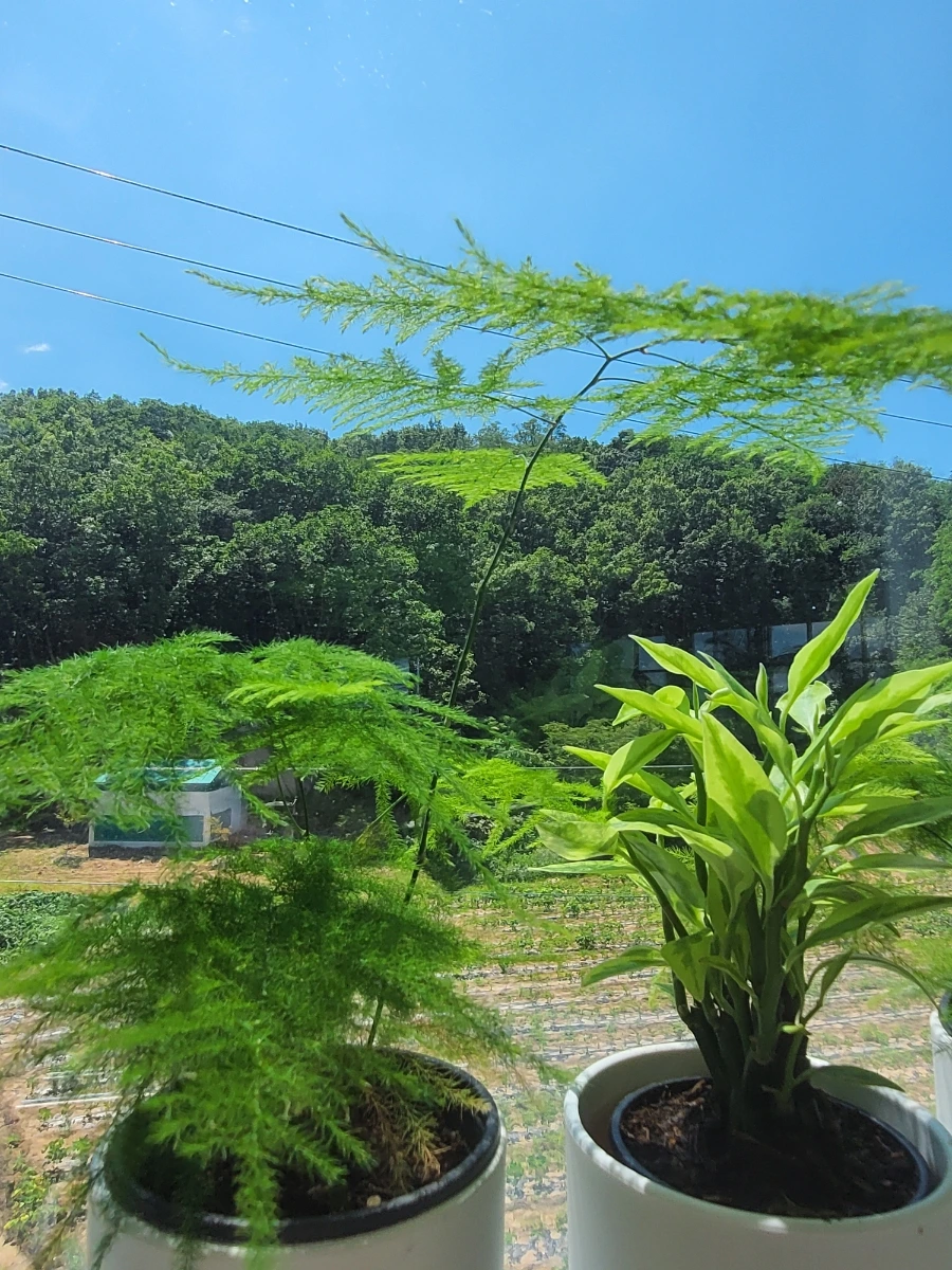 900%EF%BC%BF20250727%EF%BC%BF132728.jpg?type=w966