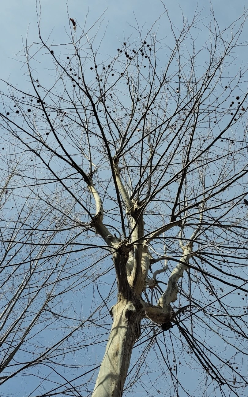 1741903635265.jpg?type=w966