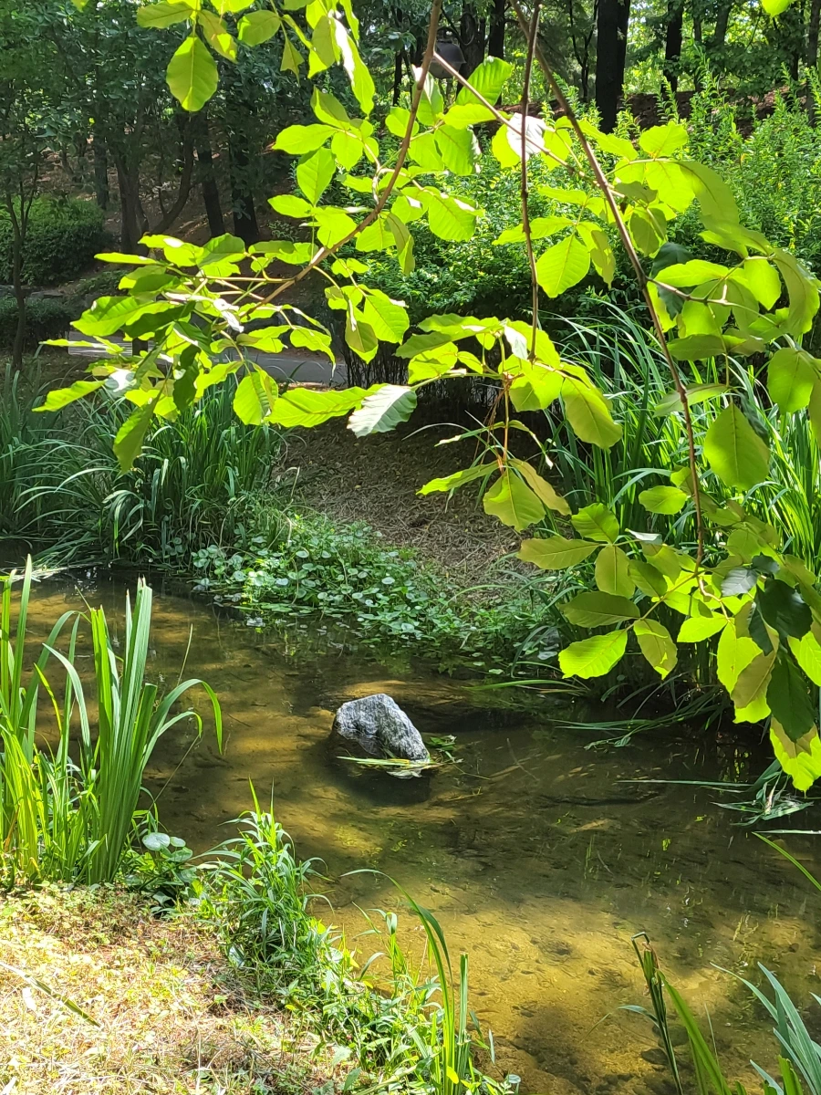 900%EF%BC%BF20250615%EF%BC%BF095036.jpg?type=w966