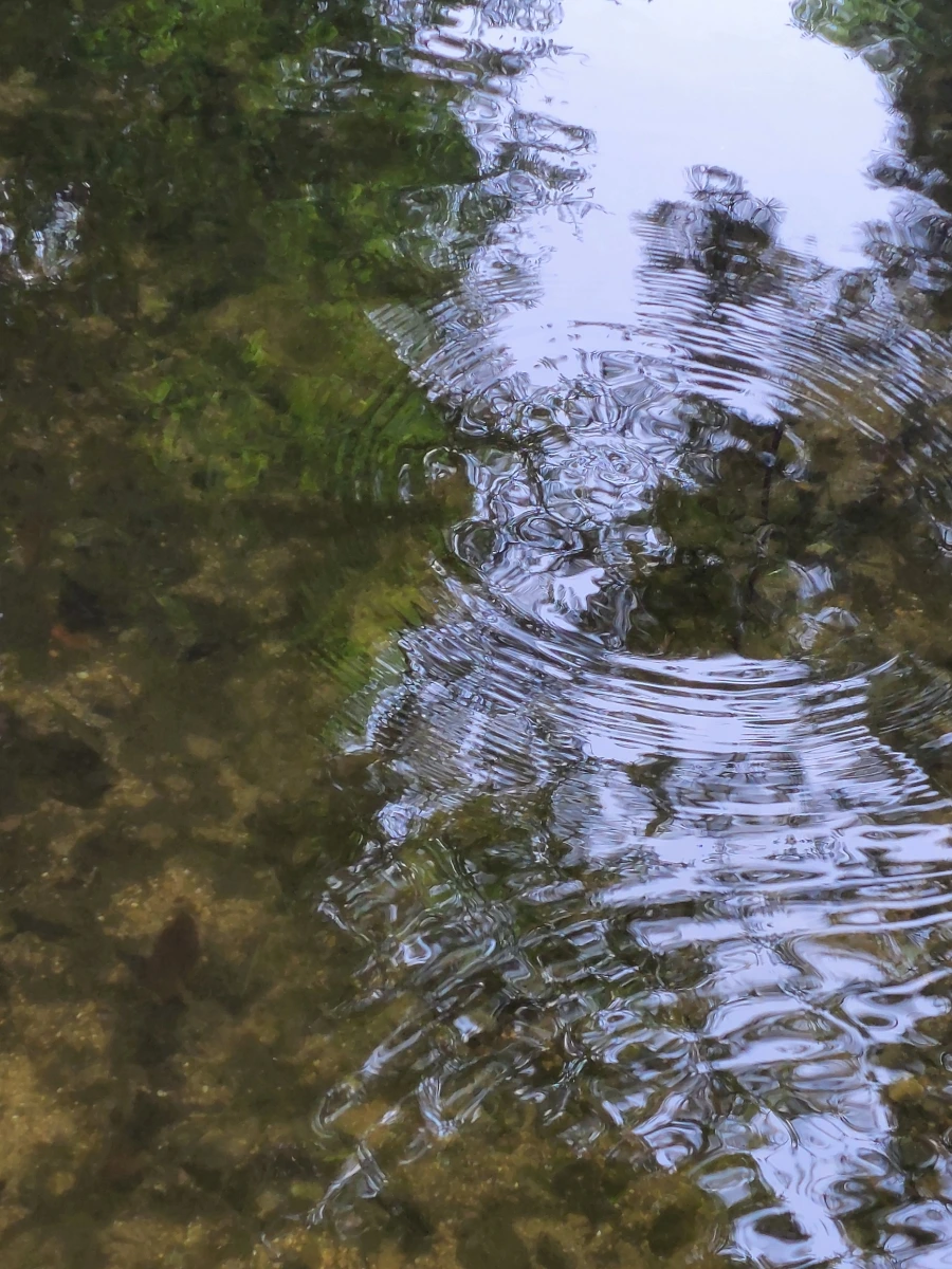 900%EF%BC%BF20250613%EF%BC%BF100338.jpg?type=w966