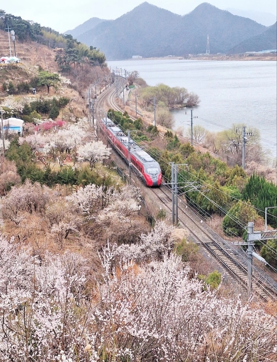 1742080877560.jpg?type=w966