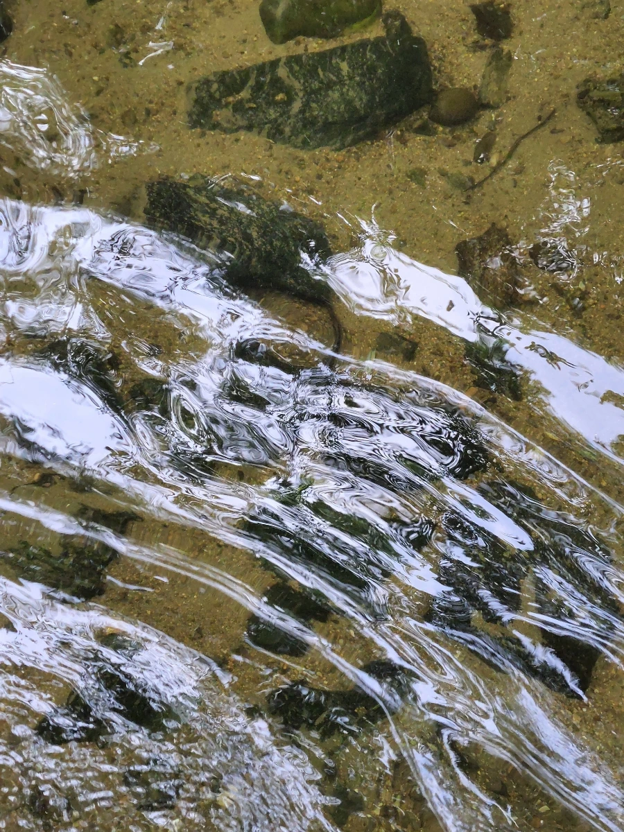 900%EF%BC%BF20250801%EF%BC%BF074848.jpg?type=w966