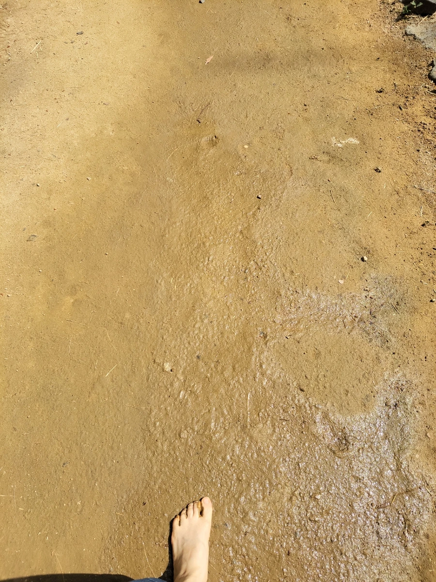 900%EF%BC%BF20250615%EF%BC%BF094748.jpg?type=w966