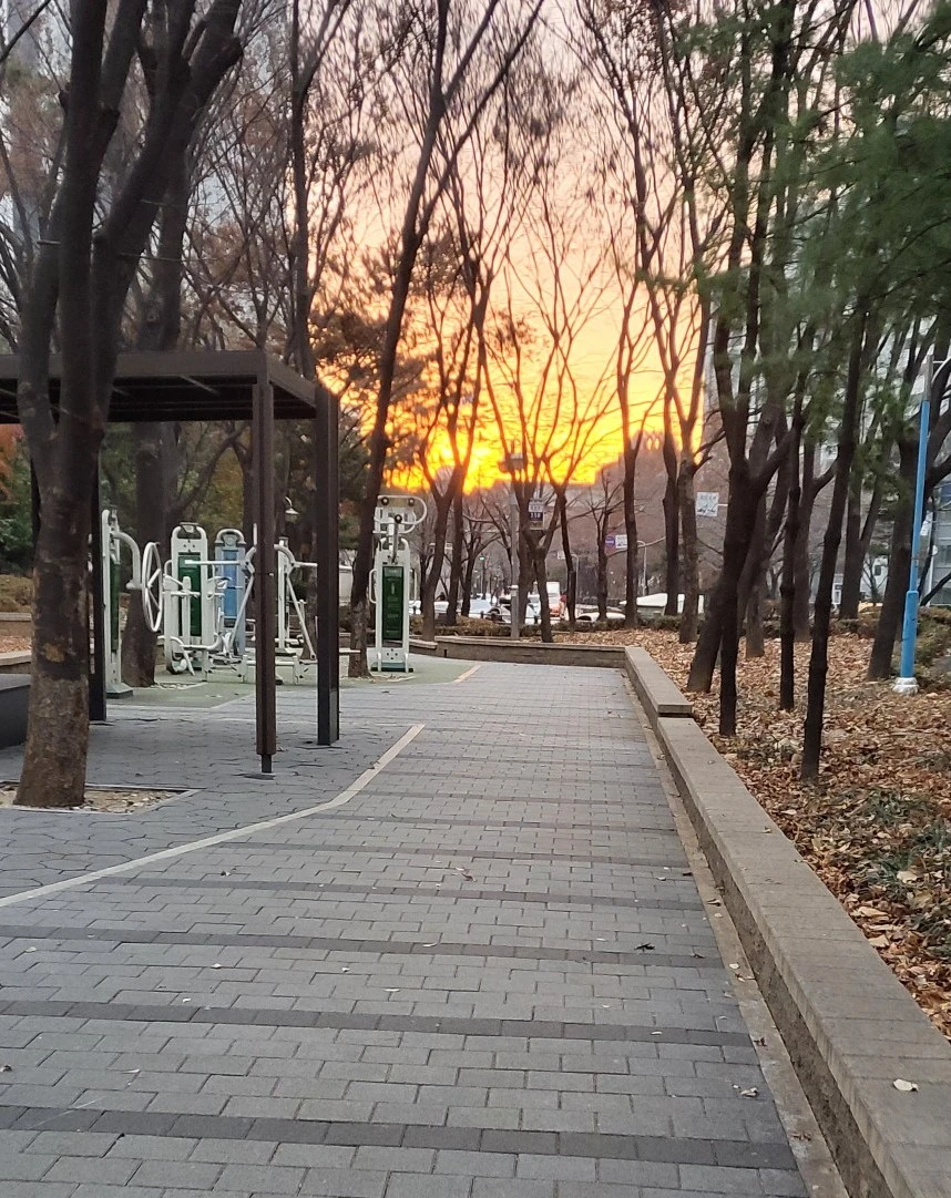 1740355619825.jpg?type=w966