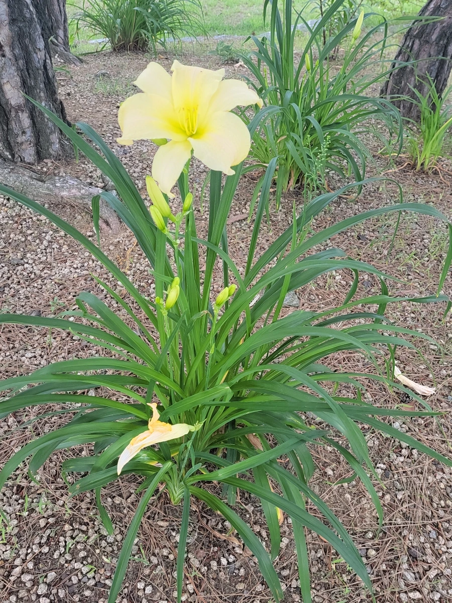 900%EF%BC%BF20250705%EF%BC%BF141552.jpg?type=w966