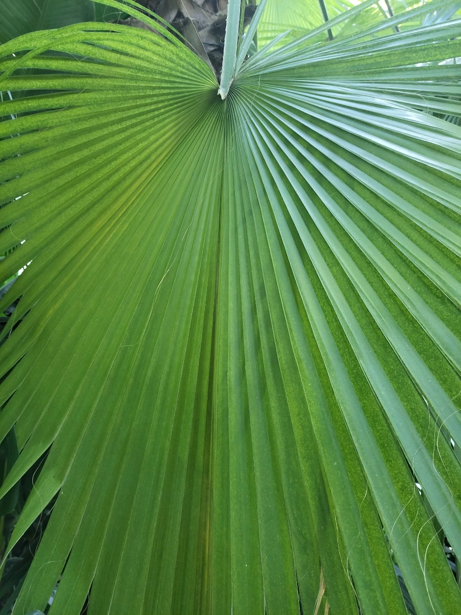 900%EF%BC%BF20250727%EF%BC%BF132030.jpg?type=w966