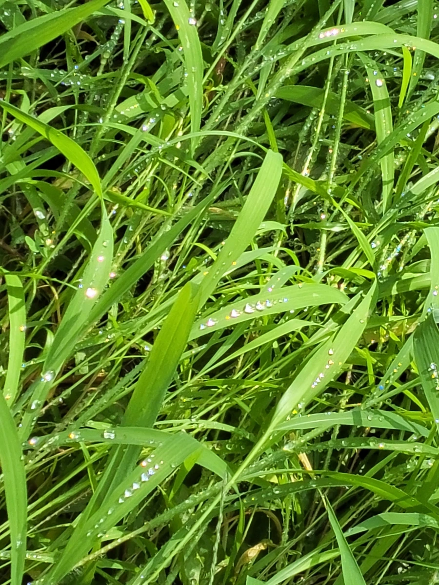 900%EF%BC%BF20250804%EF%BC%BF090609.jpg?type=w966